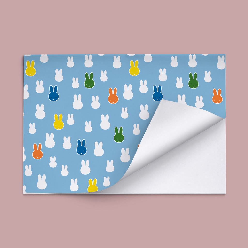 Miffy - Blue Face