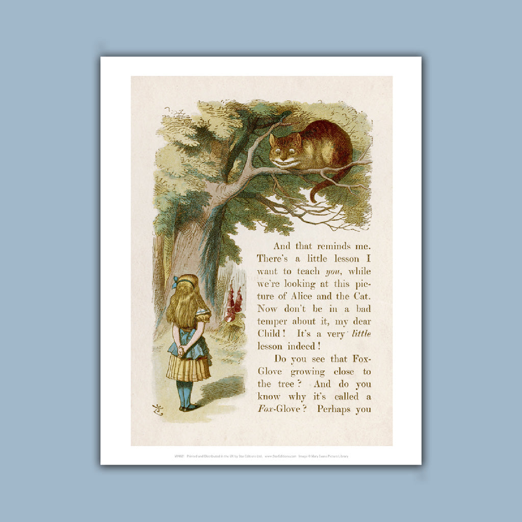 Alice In Wonderland, Cheshire Cat Book Art Print