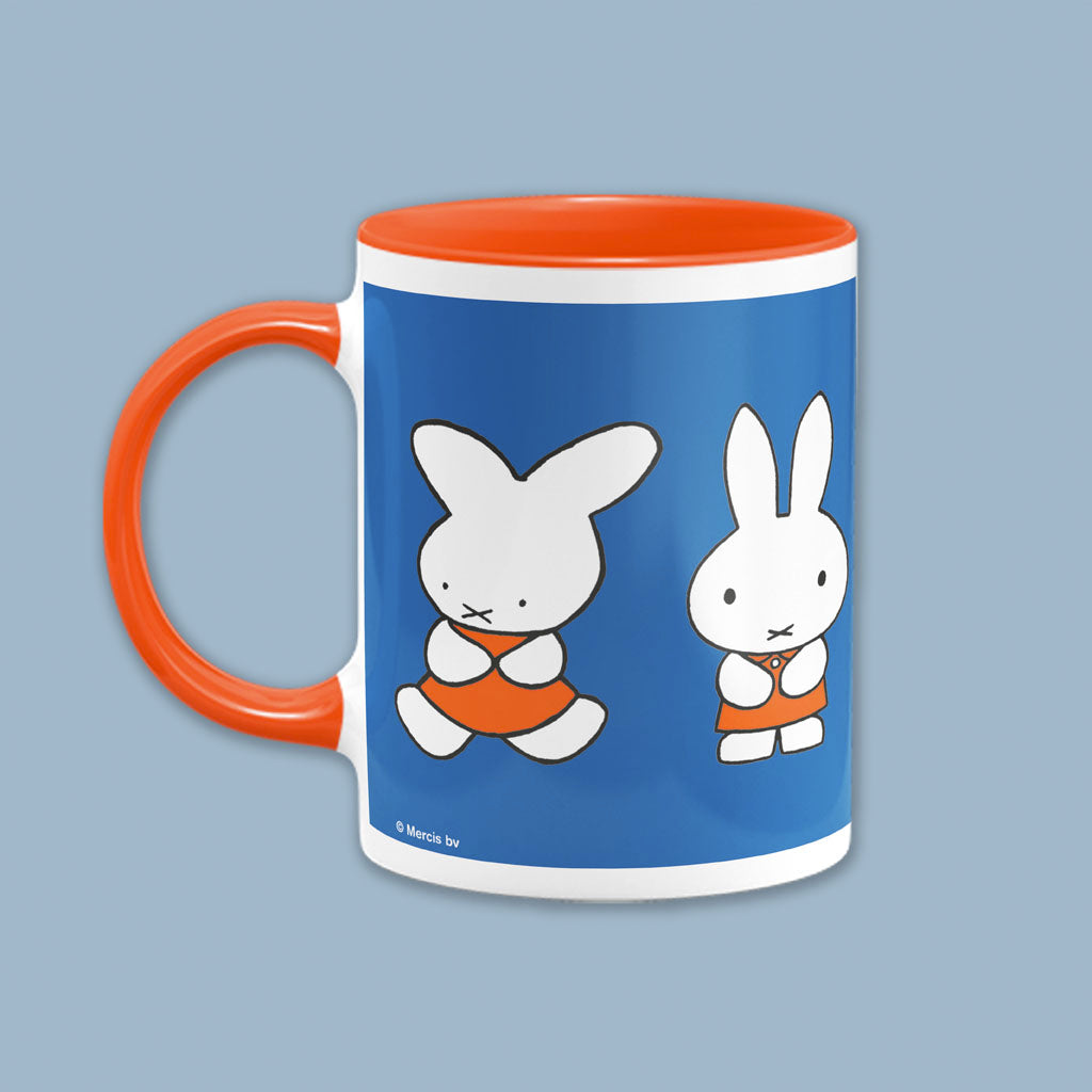 Miffy Evolution - 65th Anniversary Coloured Insert Mug