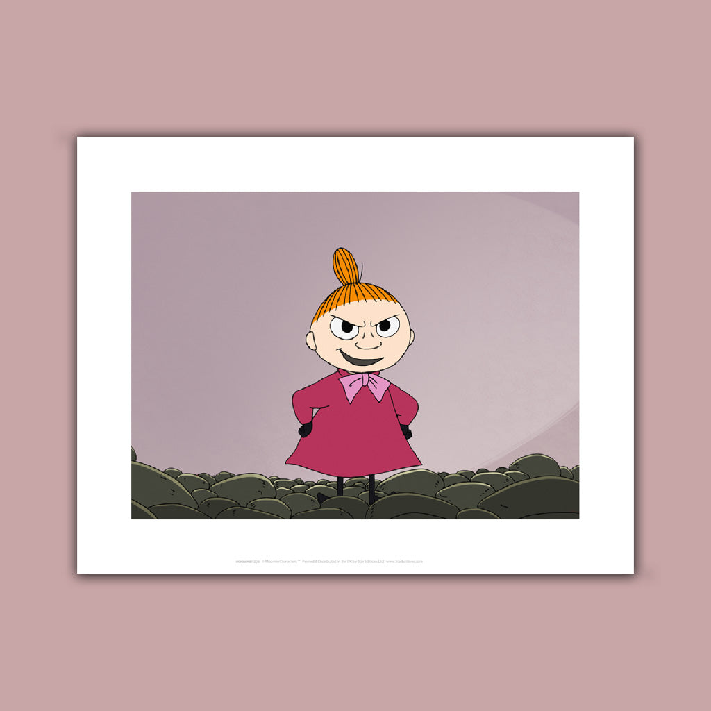 Little my on the rocks Art Print